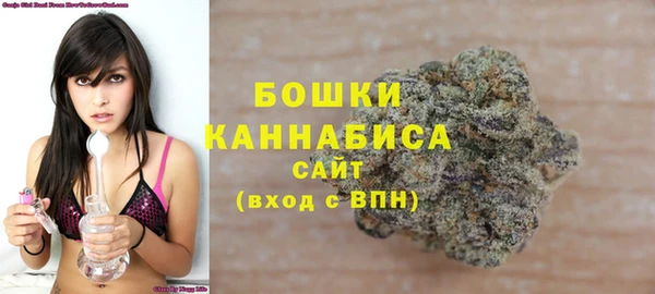 ПСИЛОЦИБИНОВЫЕ ГРИБЫ Магас