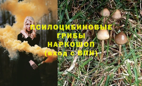 ПСИЛОЦИБИНОВЫЕ ГРИБЫ Краснотурьинск