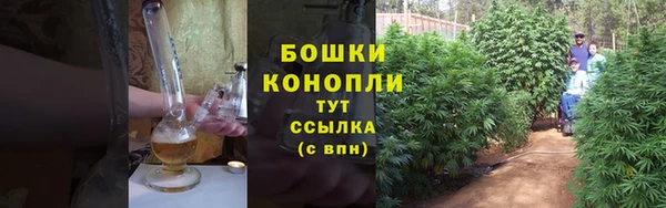 ALPHA PVP Корсаков